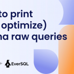How to print (and optimize) Prisma raw queries