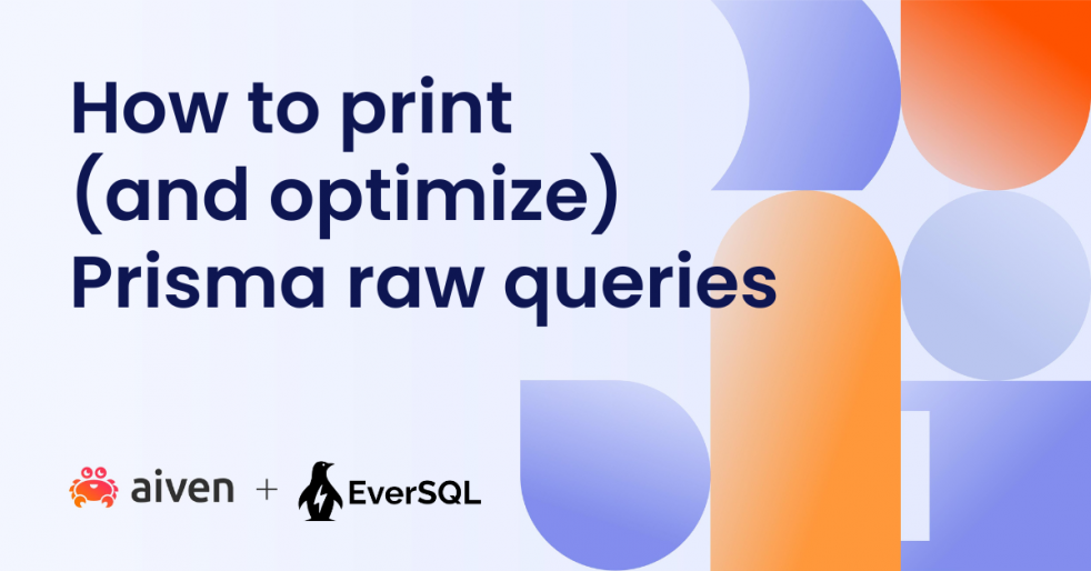 How to print (and optimize) Prisma raw queries