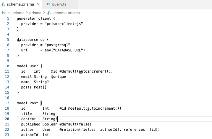 Prisma schema definition